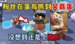 蛋仔爆料动作怎么做视频,轻松上手，打造吸睛短视频